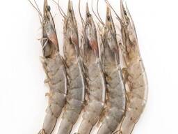 Wholesale Premium Seafood Prawns Frozen Vannamei Shrimp/ Quality White Prawns/ Healthy Fro