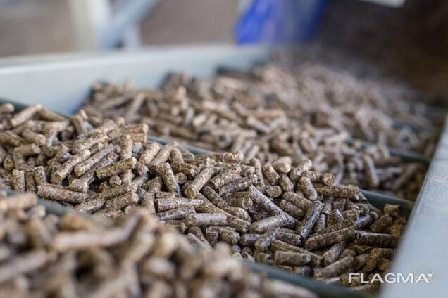 Wood Fuel Pellet