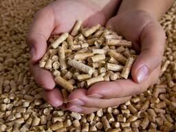 Wood Pellets DIN PLUS / ENplus-A1 Wood Pellets