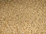 Wood Pellets for Heating ENplus A1 - photo 3