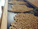 Wood Pellets Top Quality Wood Pellets Pine Wood Pellets