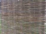 Zabor s lozi. fence - photo 1